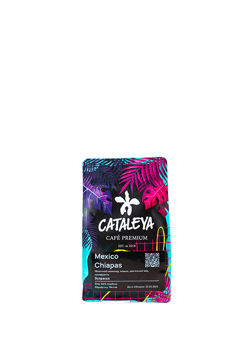 Mexico Chiapas