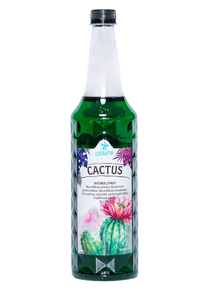 Kaktus